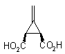 kir4.gif